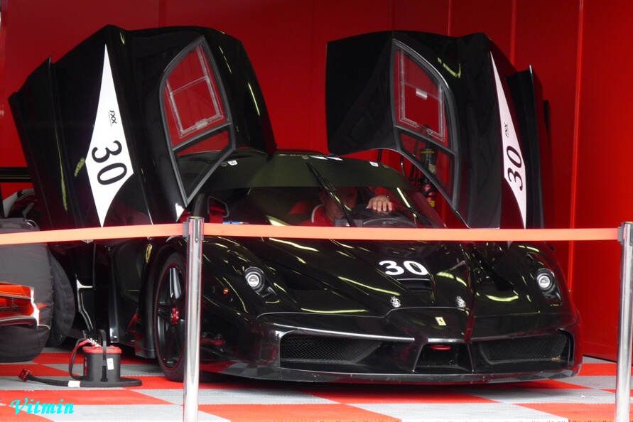 FXX 01.jpg